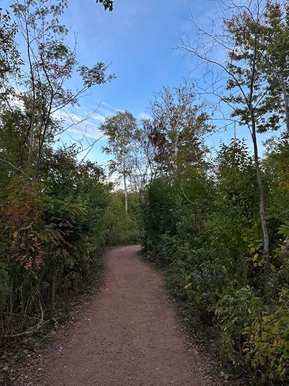 path and trees