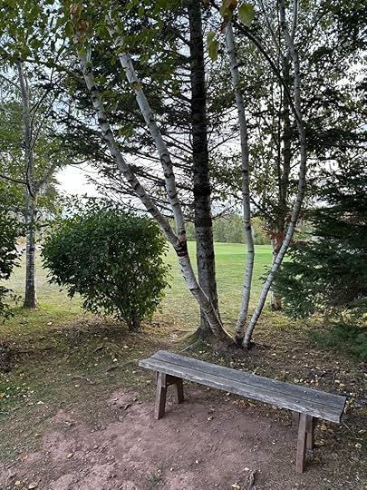 bench, trees, golf course