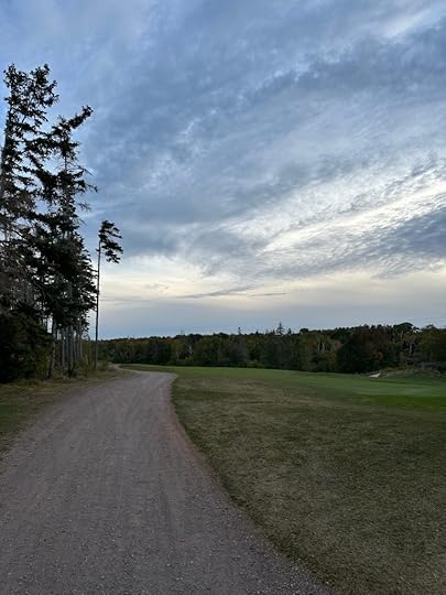 golf course, dirt road, trees