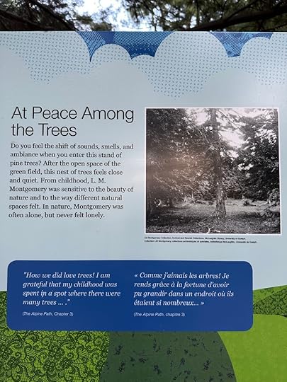 plaque