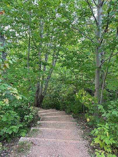steps leading down the path