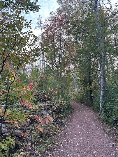 path and trees with some leaves just starting to turn red