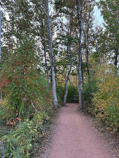 path and trees