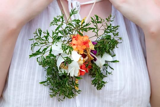 Snorkelling and diving at Paradise Taveuni, Fiji in October 2025