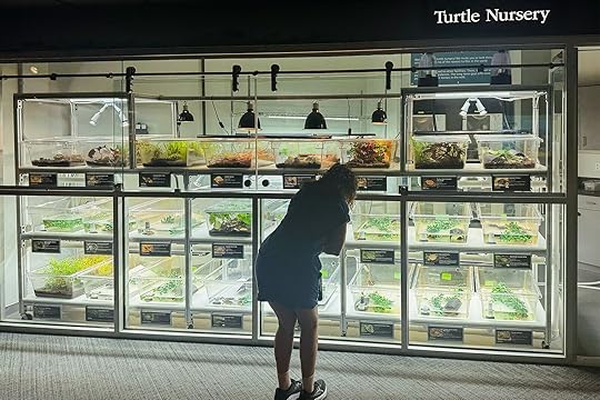 things to do in chattanooga