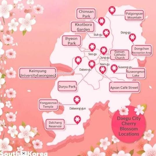 cherry blossoms in Daegu map