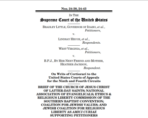 A screenshot of the first part of the amicus brief the church filed with the Supreme Court. The text reads: