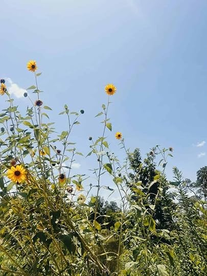 Building a Winter Life We’ll Love