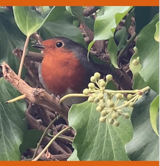 A close-up of a garden robin perched among green leaves and buds.