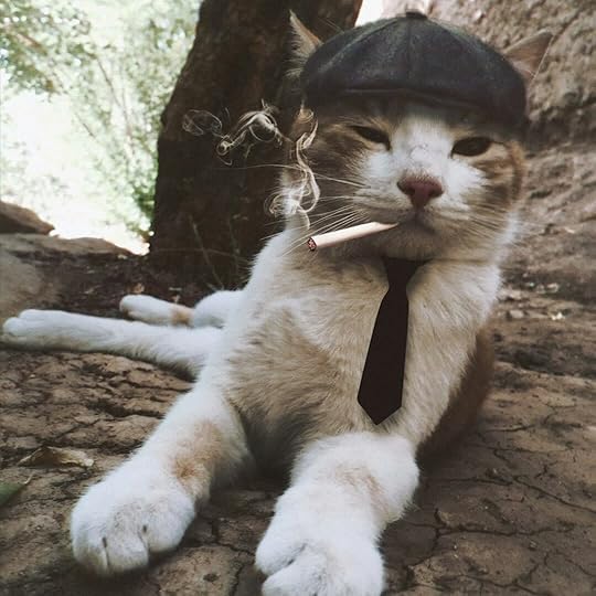 a cat wearing a suit and tie