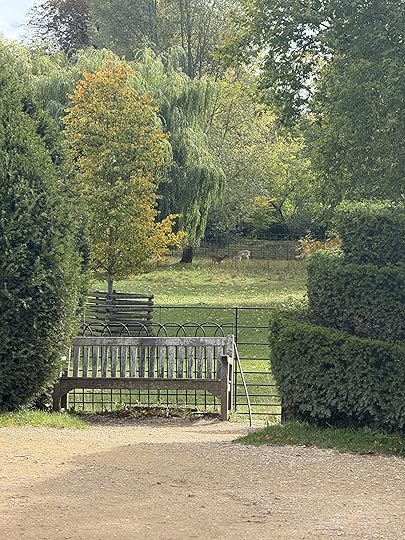 Photo of deer in the gardens of Magdalen College, Oxford