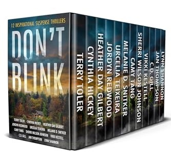 Box set of 12 books, with authors' names visible on the spines. Cover: Don't Blink. Cover image is a cottage in the forest with an overcast sunset sky.