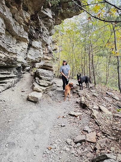Lightning Bugs, Blueberry Scones, and an Analog Fall