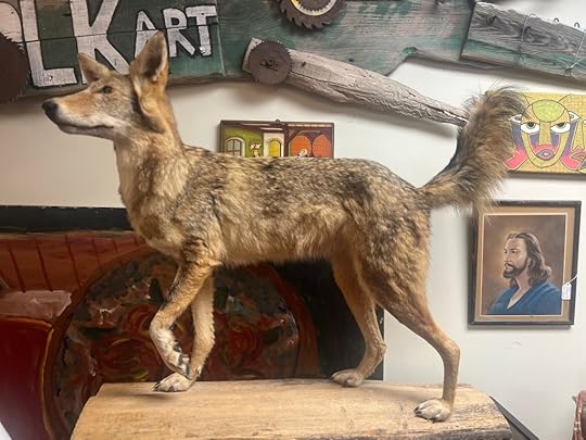 El Coyote at a thrift store