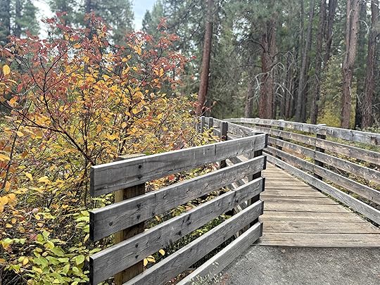 Trailbridgeautumnleaves