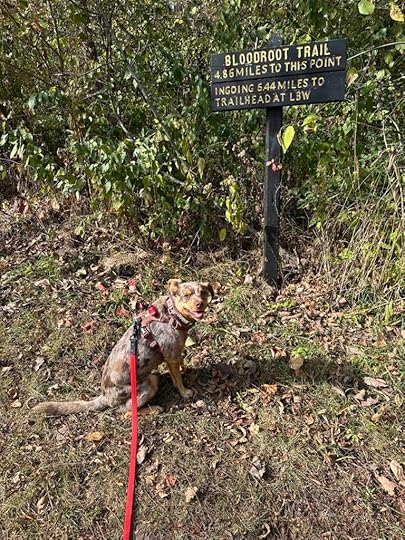 Bloodroot Trail sign