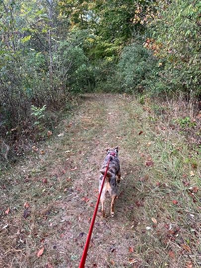 grassy section of the trail