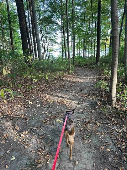 on the way to campsite #6