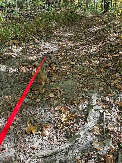 on the Bloodroot Trail