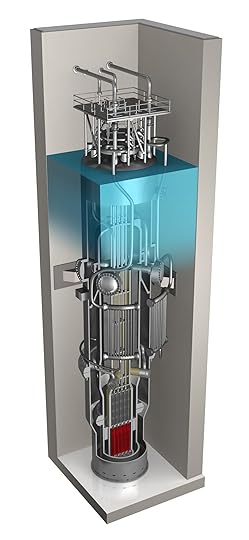 Small modular nuclear reactor