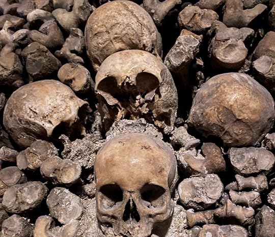 Picture used in Ossuary Music - Follow the Ghost. It's a close up of skulls from the Paris Catacombs.