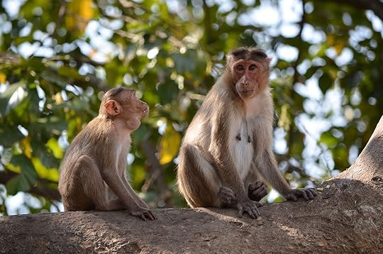 Delhi, Mumbai, and Bengaluru: Your Journey to India with Lufthansa