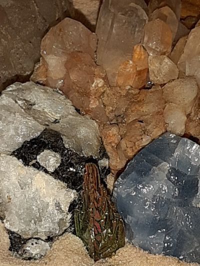 Vanessa Finaughty copyright