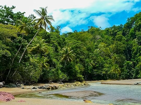 coast in corcovado national park, costa rica