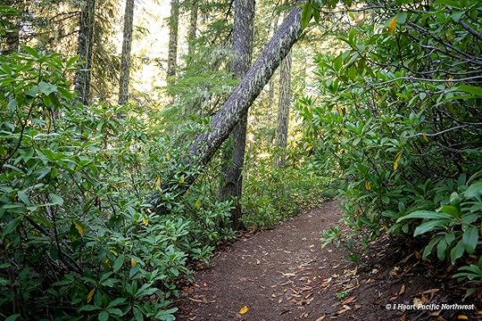Twin Lakes loop hike – Mount Hood