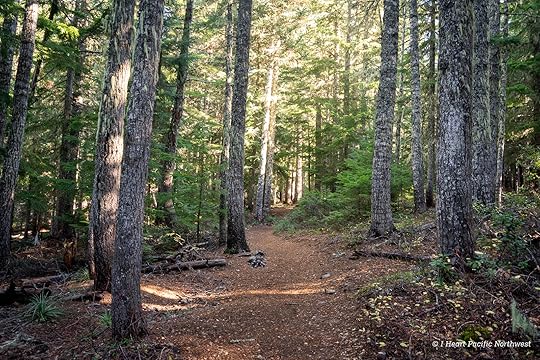 Twin Lakes loop hike – Mount Hood