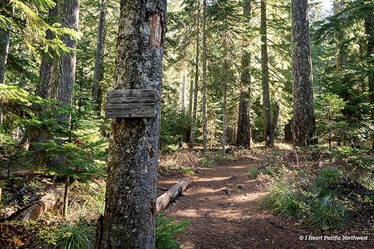 Twin Lakes loop hike – Mount Hood