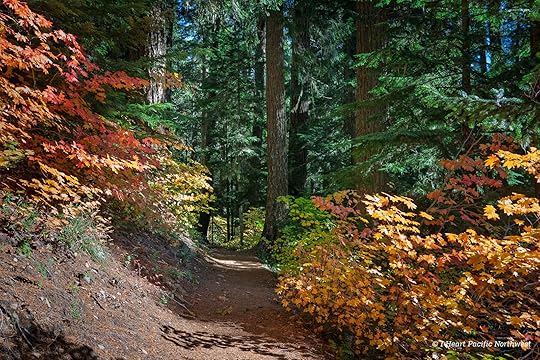 Twin Lakes loop hike – Mount Hood