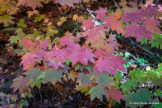 Twin Lakes loop hike – Mount Hood