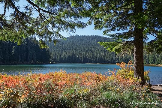 Twin Lakes loop hike – Mount Hood