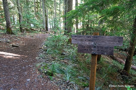 Twin Lakes loop hike – Mount Hood