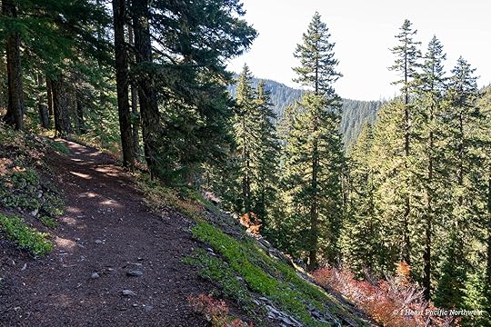 Twin Lakes loop hike – Mount Hood