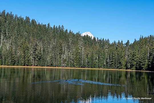 Twin Lakes loop hike – Mount Hood