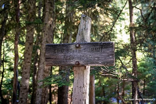Twin Lakes loop hike – Mount Hood