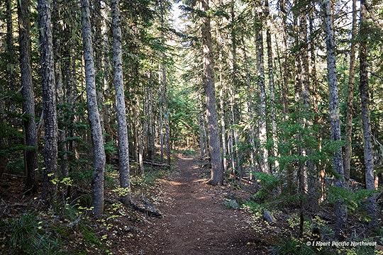 Twin Lakes loop hike – Mount Hood