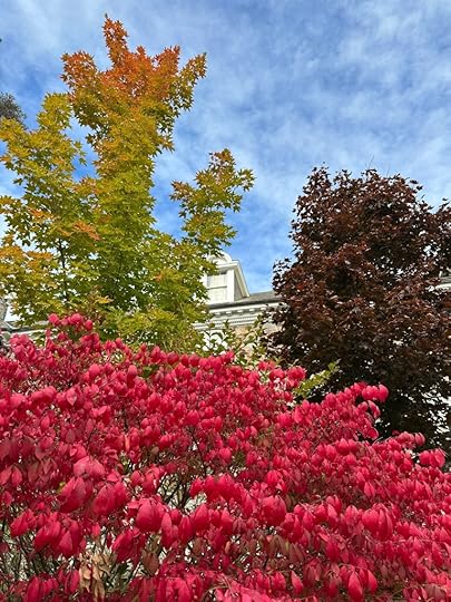 October foliage