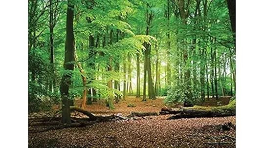 spring green forest backdrop