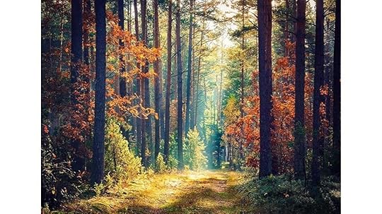 autumn jungle forest backdrop
