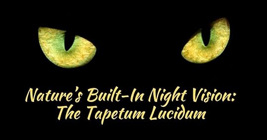 Nature’s Built-In Night Vision The Tapetum Lucidum