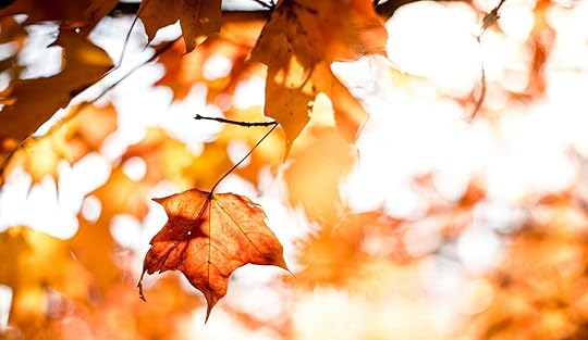 Daynote - Mon 20 Oct