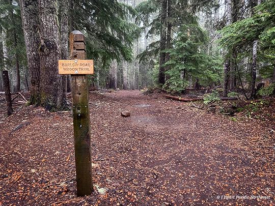 Devils Acre - Palmateer Point loop hike