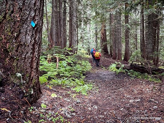 Devils Acre - Palmateer Point loop hike