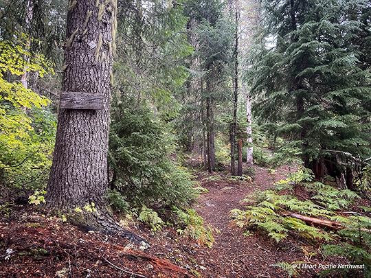 Devils Acre - Palmateer Point loop hike