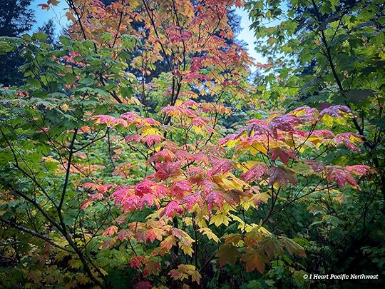 Devils Acre - Palmateer Point loop hike
