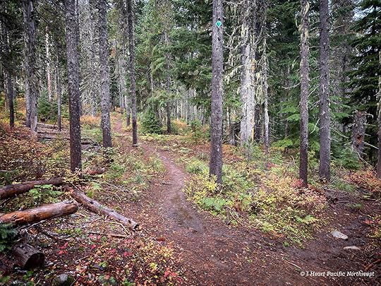Devils Acre - Palmateer Point loop hike