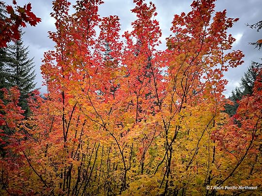 Devils Acre - Palmateer Point loop hike